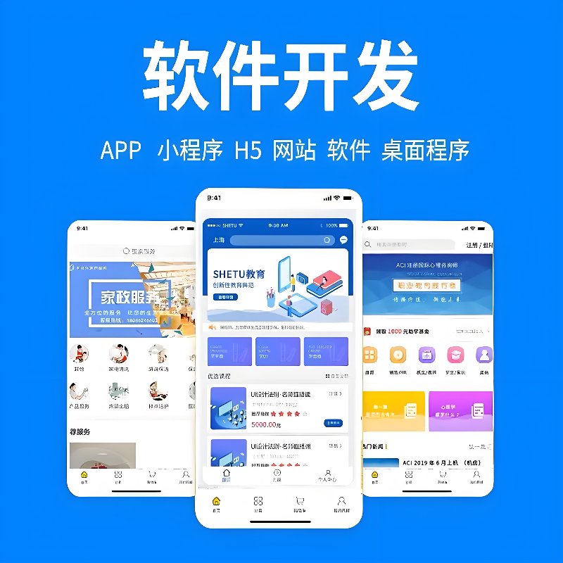 科技触角延伸至合肥：软件开发业的新篇章